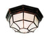 Trans Globe Benkert 1 Light Weblike Design Enclosed Flush Model: 40581 BG