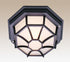 Trans Globe Benkert 1 Light Weblike Design Enclosed Flush Model: 40582 BC
