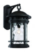 Trans Globe Boardwalk Collection 1 Light Hook Hanging Model: 40372 BK