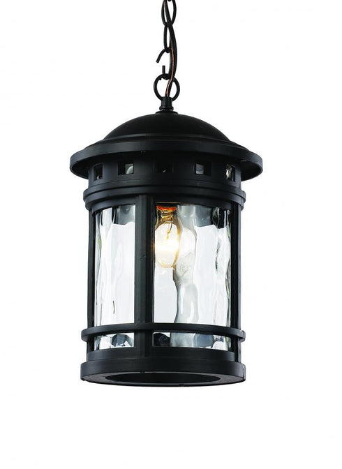 Trans Globe Boardwalk Collection 1 Light Outdoor Hanging Model: 40375 BK