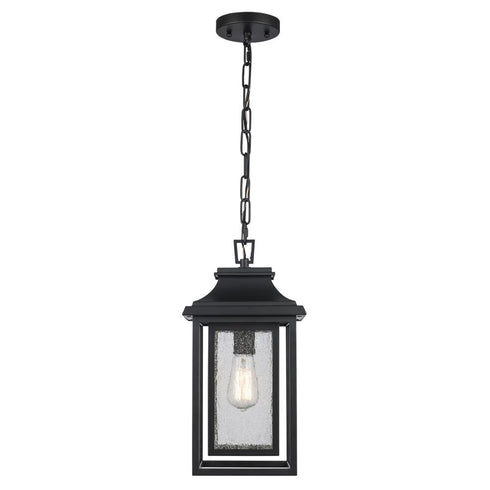 Trans Globe Bosque 1 Light Outdoor Pendant in Black Finish Model: 51694 BK