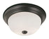 Trans Globe Bowers 2 Light FLUSH MED WHITE FROST GLAS in Brushed Nickel Finish Model: 13718 BN