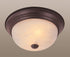 Trans Globe Browns 11 Inch Flushmount Model: 13617 AW