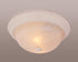 Trans Globe Browns 13 Inch Flushmount Model: 13618 ROB