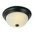 Trans Globe Browns 13 Inch Flushmount Model: 13618 ROB