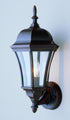 Trans Globe Burlington 1 Light Armed Metal And Glass Model: 4502 SWI