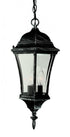 Trans Globe Burlington 3 Light Metal And Glass Hanging Model: 4505 BK