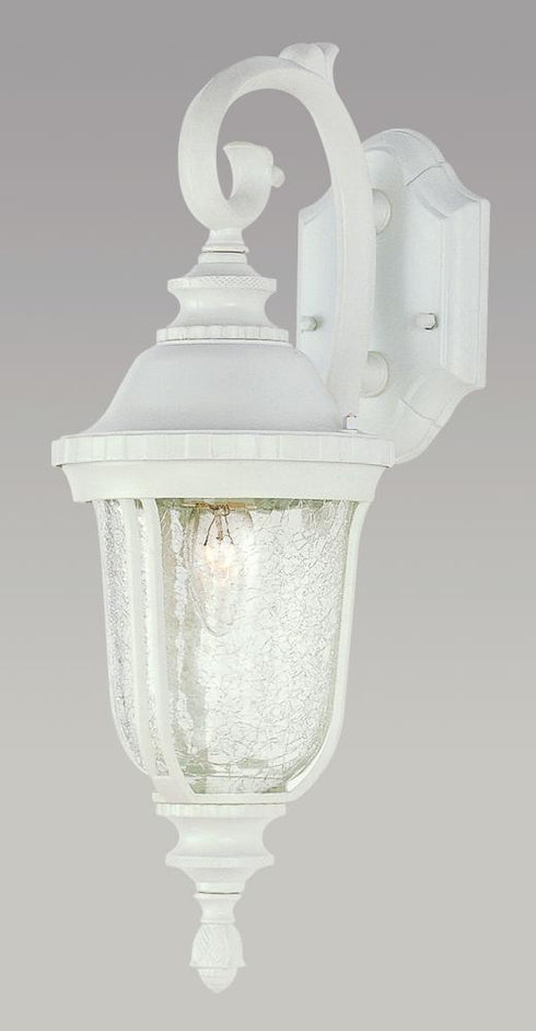 Trans Globe Chessie 20 In. 1 Light Crackle Glass Coach Model: 4020 BG