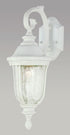 Trans Globe Chessie 20 In. 1 Light Crackle Glass Coach Model: 4020 BG