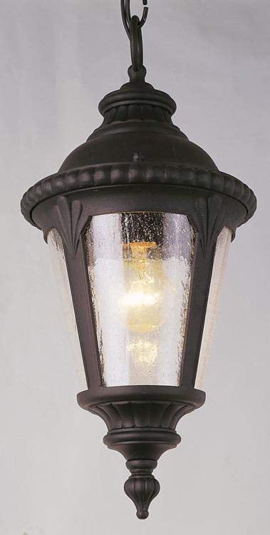 Trans Globe Commons 17 Inch Hanging Lantern in Black Finish Model: 5049 BK