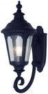 Trans Globe Commons 19 Inch Wall Lantern Model: 5040 BG