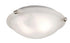 Trans Globe Constellation 12 Inch Flush Mount Indoor Ceiling Light in Brushed Nickel Finish Model: 58600 BN