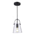 Trans Globe Curry 1 Light Shaded Mini Pendant Model: PND-2174 BK
