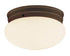 Trans Globe Dash 10 Inch Flushmount Model: 3620 WH