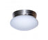 Trans Globe Dash 8 Inch Flushmount Model: 3618 WH