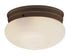 Trans Globe Dash 8 Inch Flushmount Model: 3619 BN