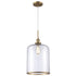 Trans Globe Dorina Single Light Clear Glass Mini Pendant Model: PND-2185 BK