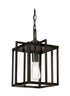 Trans Globe Eastwood II 10 Inch Pendant Model: 10210 ROB