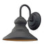Trans Globe Forest Collection 1 Light Gooseneck Armed Outdoor Barn Wall Light in Silver Finish Model: 50540 SL