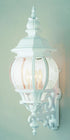 Trans Globe Francisco 4 Light Outdoor Beveled Glass Model: 4052 RT