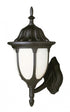 Trans Globe Hamilton 1 Light Opal Glass Traditional Model: 4041 BC