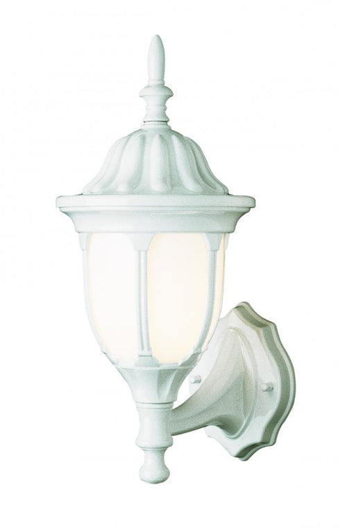 Trans Globe Hamilton 1 Light Opal Glass Traditional Model: 4041 BC
