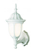 Trans Globe Hamilton 1 Light Opal Glass Traditional Model: 4041 BC