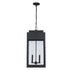 Trans Globe Marley Outdoor Hanging Lights in Black Model: 51526 BK