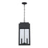 Trans Globe Marley Outdoor Hanging Lights in Black Model: 51527 BK
