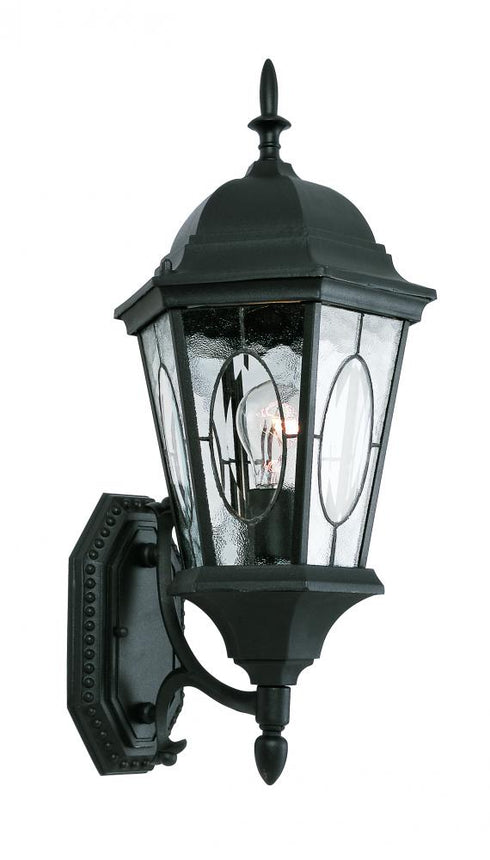 Trans Globe One Light Black Gold Water Clear Oval Window Model: 4715 BG