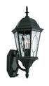 Trans Globe One Light Black Gold Water Clear Oval Window Model: 4715 BG