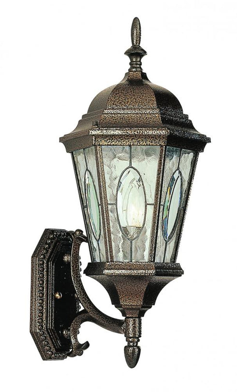 Trans Globe One Light Black Gold Water Clear Oval Window Model: 4715 BG