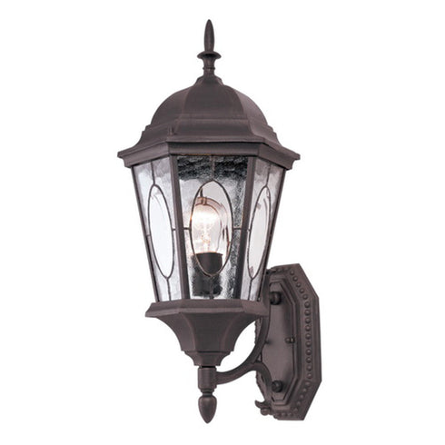 Trans Globe One Light Black Gold Water Clear Oval Window Model: 4715 BG