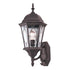 Trans Globe One Light Black Gold Water Clear Oval Window Model: 4715 BG