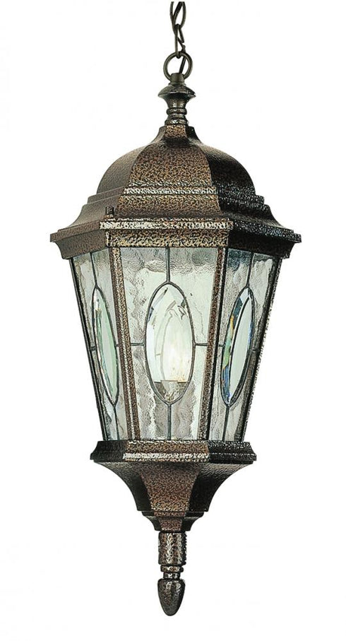 Trans Globe One Light Black Gold Water Clear Oval Window Model: 4717 BG