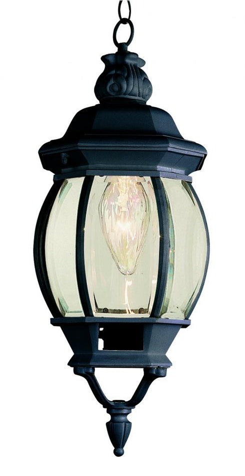 Trans Globe Parsons 1 Light SMALL HANGING LANTERN OUTD in Black Finish Model: 4065 BK
