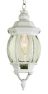 Trans Globe Parsons 1 Light Traditional French Inspired Model: 4065 RT