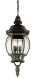 Trans Globe Parsons 4 Light LRG HANGING OUTD BEVELED in Black Finish Model: 4067 BK