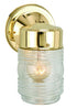 Trans Globe Quinn 1 Light Classic Glass Jar Shade Outdoor Model: 4900 BK