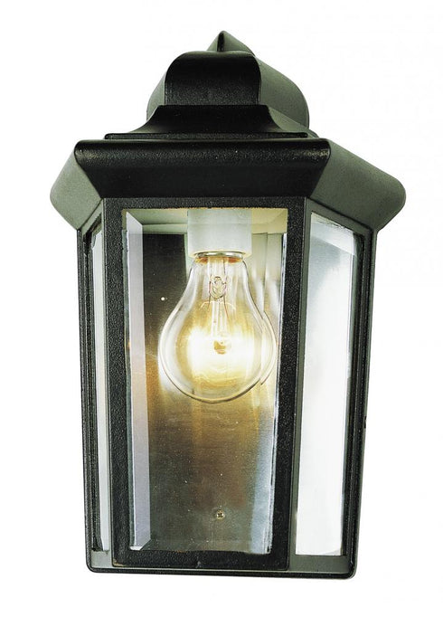 Trans Globe Rendell 12 In. 1 Light Beveled Glass Outdoor Model: 4483 BC