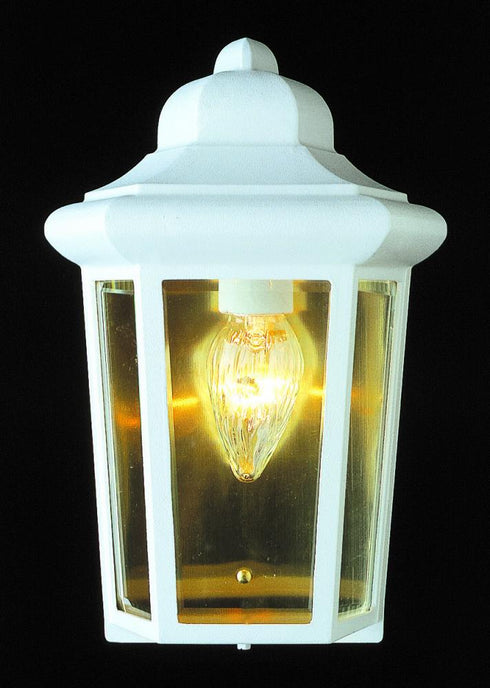 Trans Globe Rendell 12 In. 1 Light Beveled Glass Outdoor Model: 4483 BC