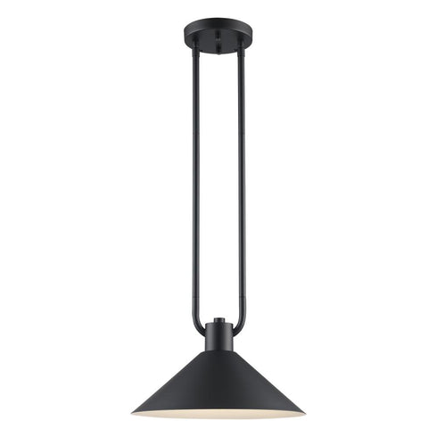 Trans Globe Roscoe 1 Light Industrial Pendant in Black Finish Model: 11761 BK