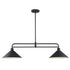 Trans Globe Roscoe 2 Light Industrial Linear Pendant in Black Finish Model: 11763 BK