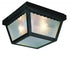 Trans Globe Samantha 1 Light Scalloped Edge Traditional Model: 4901 WH