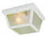 Trans Globe Samantha 1 Light Scalloped Edge Traditional Model: 4901 WH