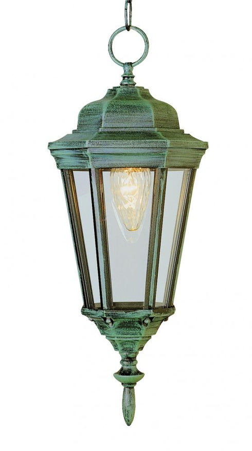 Trans Globe San Rafael 1 Light Clear Glass Metal Framed Model: 4097 BG