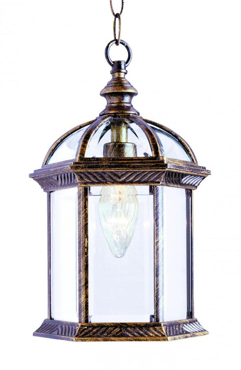 Trans Globe Wentworth 1 Light Atrium Style Outdoor Model: 4183 BC