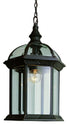 Trans Globe Wentworth 1 Light Atrium Style Outdoor Model: 4183 BC