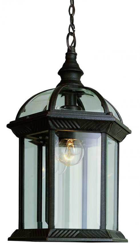 Trans Globe Wentworth 1 Light HANGING LANTERN BEVELED GL in Black Finish Model: 4183 BK