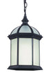 Trans Globe Wentworth 1 Light HANGING LANTERN BEVELED GL in Black Finish Model: 4183 BK